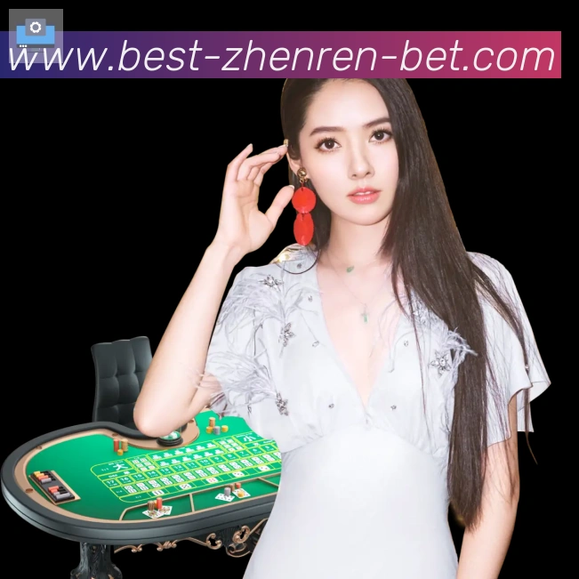 多彩内容专区